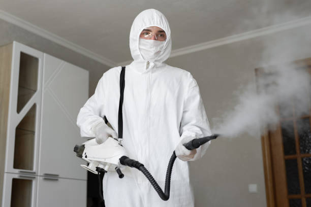 Best Residential Mold Inspection & Testing  in Pine Ridge, FL